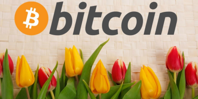 Bitcoin's meteoric rise has drawn comparisons to Tulip mania, but are the comparisons valid?